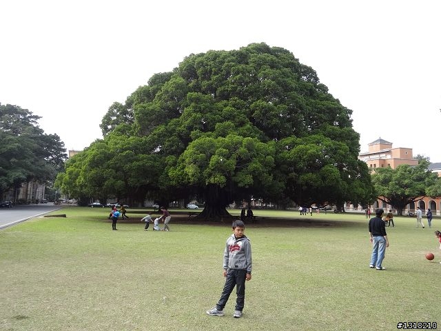 親子旅遊-菜市場成功大學