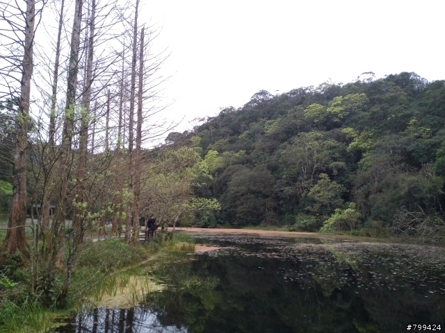 分享一些用PFI照的福山植物園&武陵農場櫻花照片