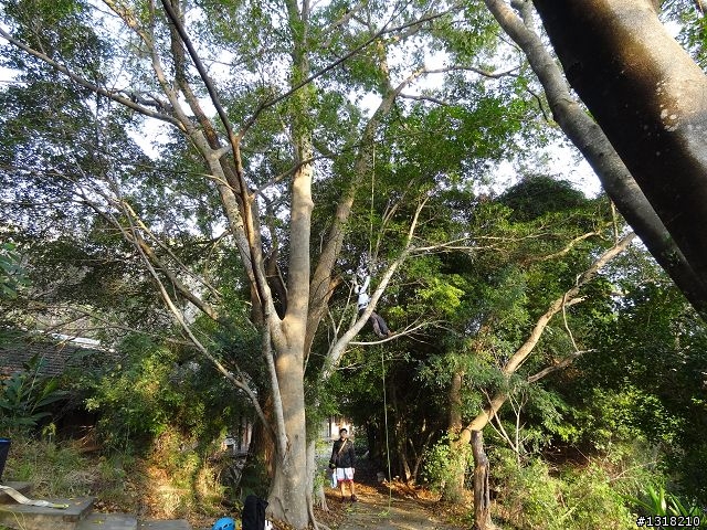 親子旅遊-彰化藝術高中