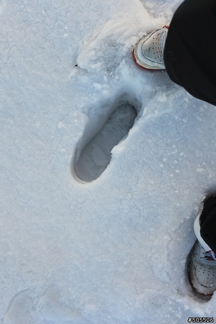 IS300h合歡山一日賞雪"平價"之旅