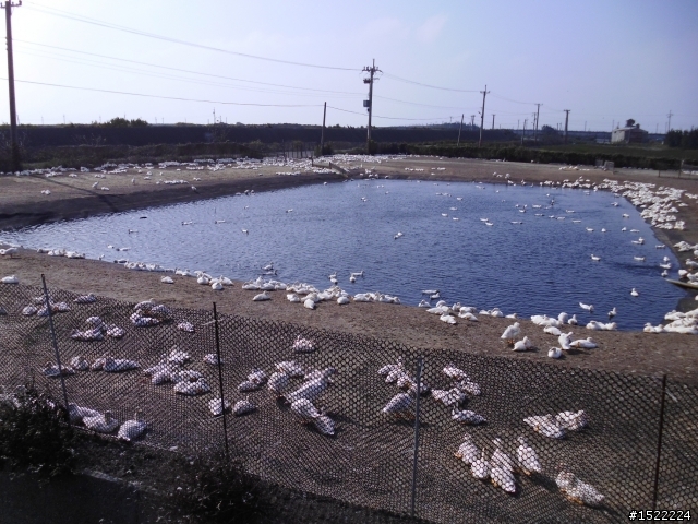 【一日單飛208km】之沒有目標的旅程