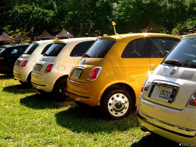 FFC Day 2013 之 Fiat500車聚