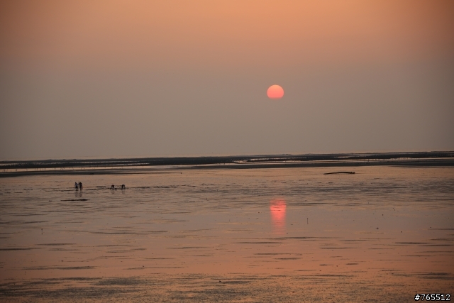 請教前輩，如何拍好夕陽美景？