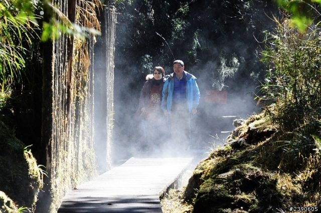 太平山森林遊樂區 一日旅遊下雪了