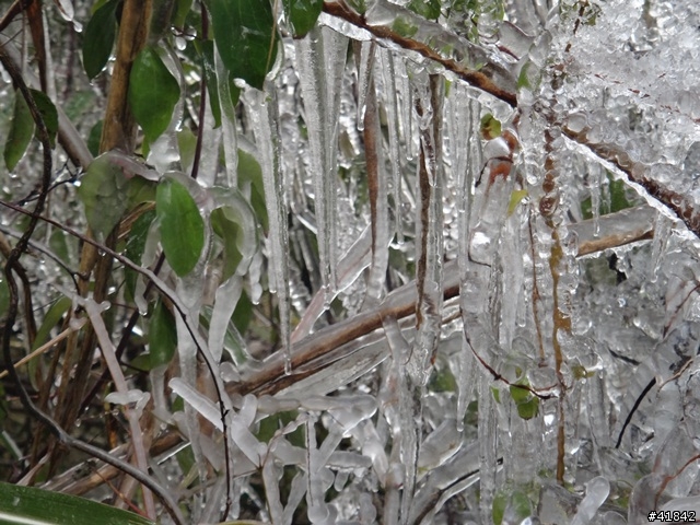 2014-02-21 武嶺單車瘋雪行