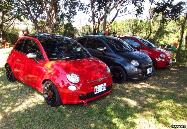 FFC Day 2013 之 Fiat500車聚