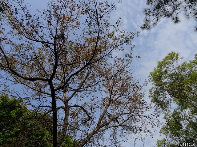 親子旅遊-彰化藝術高中
