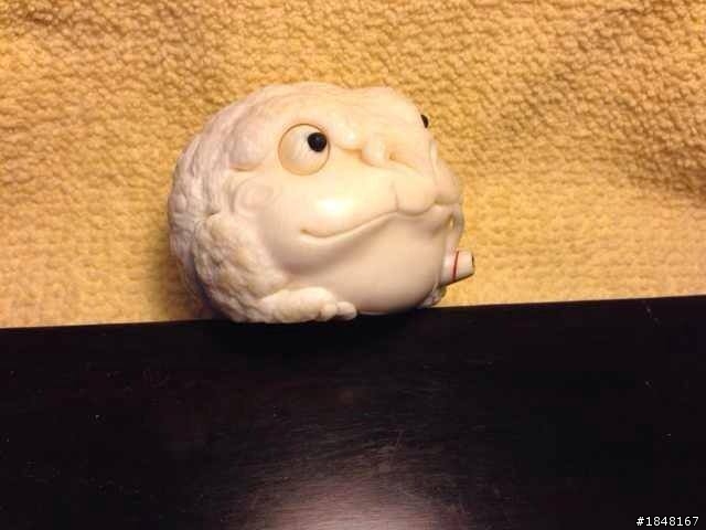 分享 很可愛的象牙金蟾