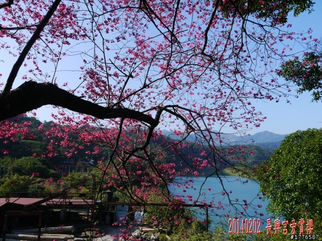 20140202  烏來福山賞櫻之旅