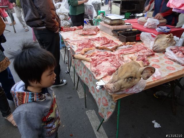 親子旅遊-菜市場成功大學