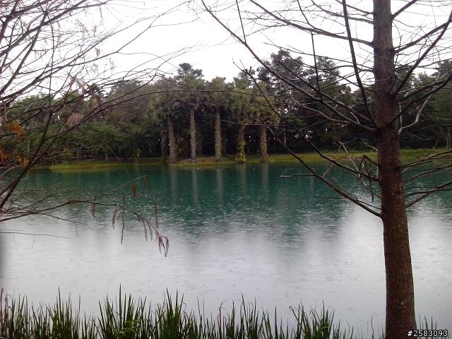 請問!花蓮雲山水能露營嗎?
