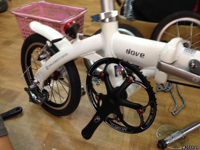 看我把Dahon Dove-Bya 412 單速14吋折疊車改米洛Mailo 外三變速輪組