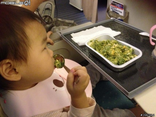 ［經驗分享］要帶兩歲以下的Baby出國了嗎?快來坐這可愛的小掛籃!!