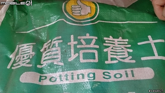 用了 優質培養土 植物死光光...