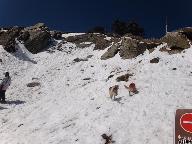 2014-02-21 武嶺單車瘋雪行