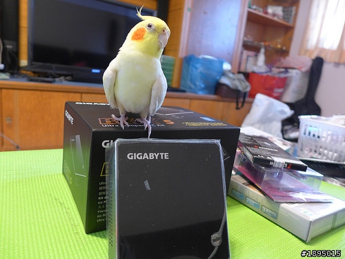 [簡單開箱] 敗入與我家玄鳳粉圓一樣大小的微型電腦－技嘉Brix I3 HasWell 準系統