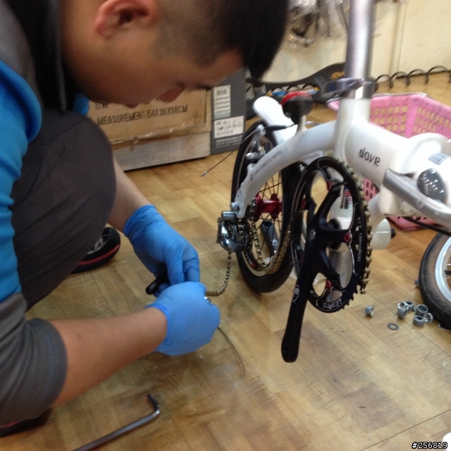 看我把Dahon Dove-Bya 412 單速14吋折疊車改米洛Mailo 外三變速輪組