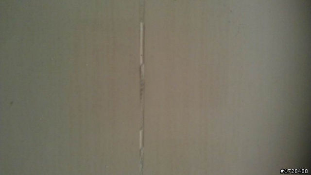 地板冒出白白粉狀物