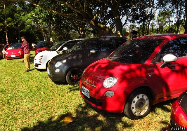 FFC Day 2013 之 Fiat500車聚