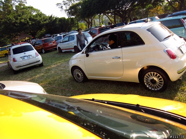 FFC Day 2013 之 Fiat500車聚
