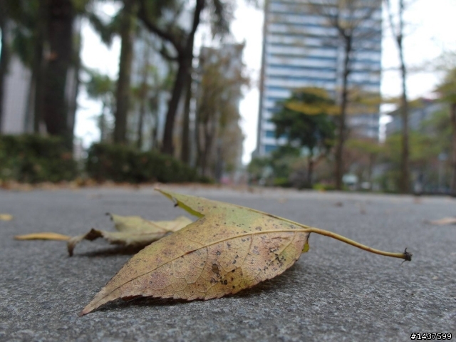 "請益" 有關對焦的問題