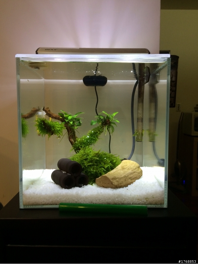 把想養的魚都裝進來了