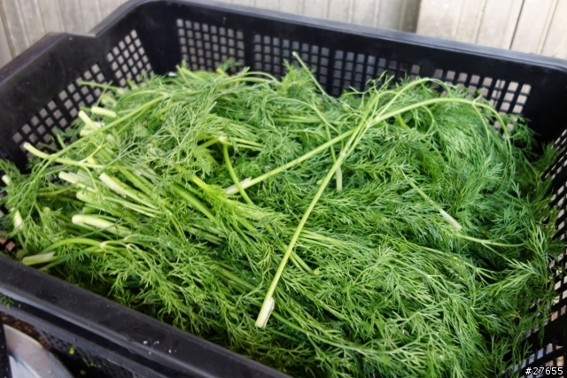 RX100 不一樣的口福鵝肉