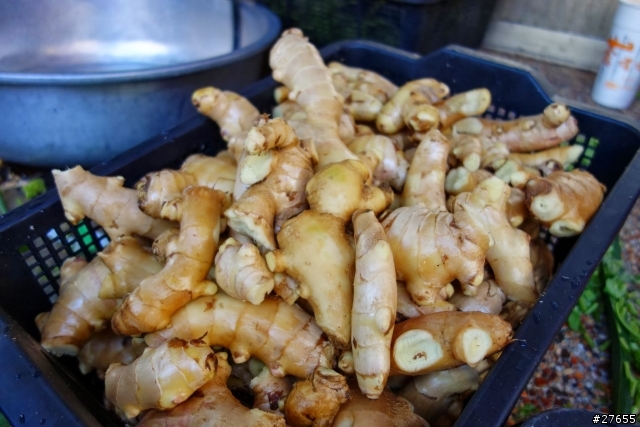 RX100 不一樣的口福鵝肉