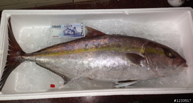 何謂生食等級魚???