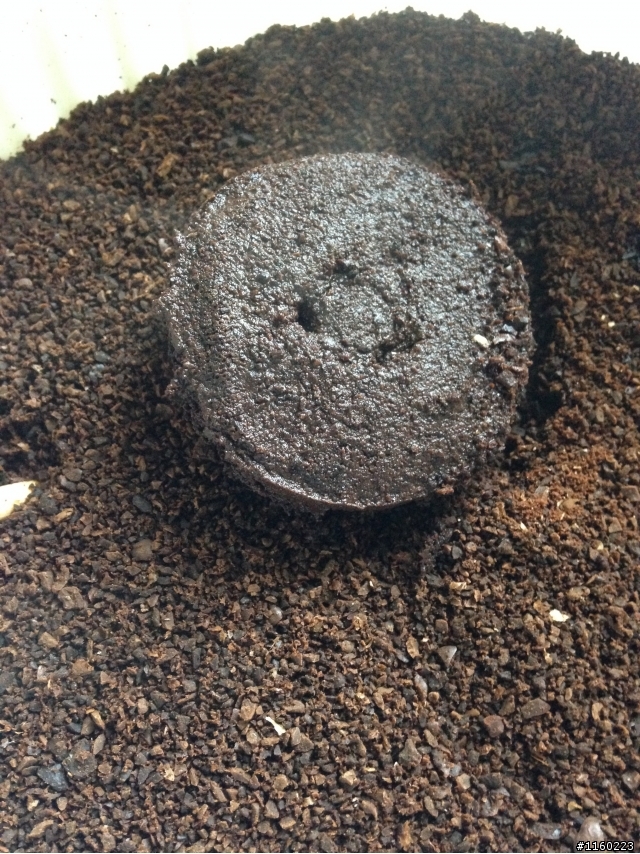 KRUPS 887 義式咖啡機 初體驗