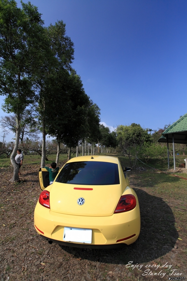 我的小Be ，The Beetle 1.2TSI (圖多)