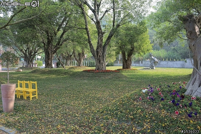 蘿莎玫瑰莊園