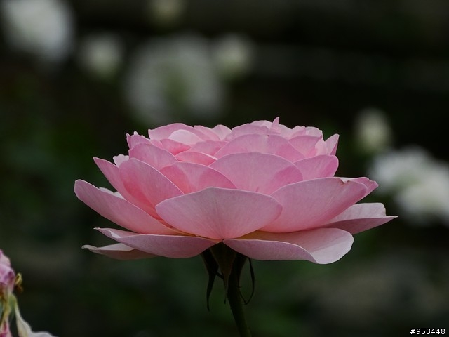 Cyber-shot DSC-HX400V