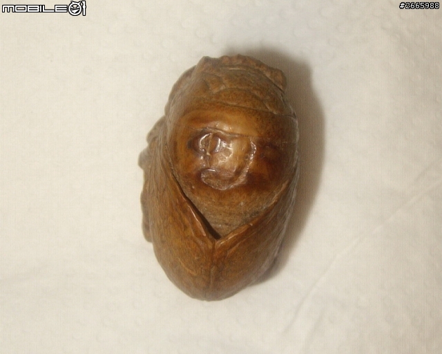 請教專家是什麼材質??????
