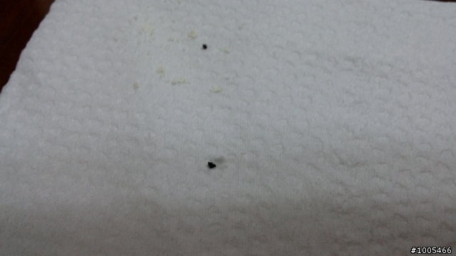 桂格嬰兒奶粉的雜質