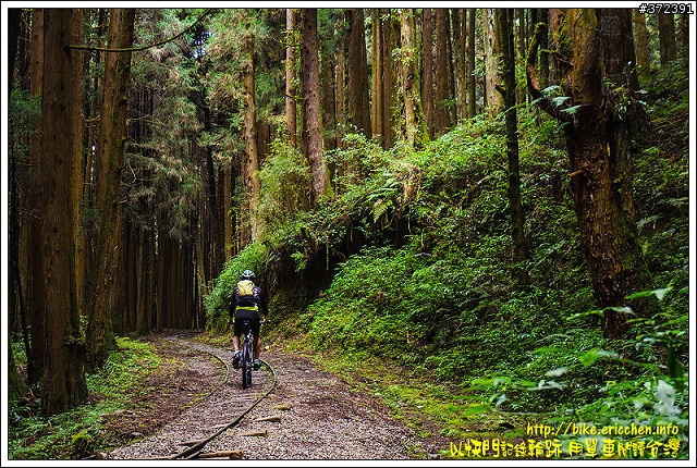 [Eric的單車日記] 天神之路 特富野古道