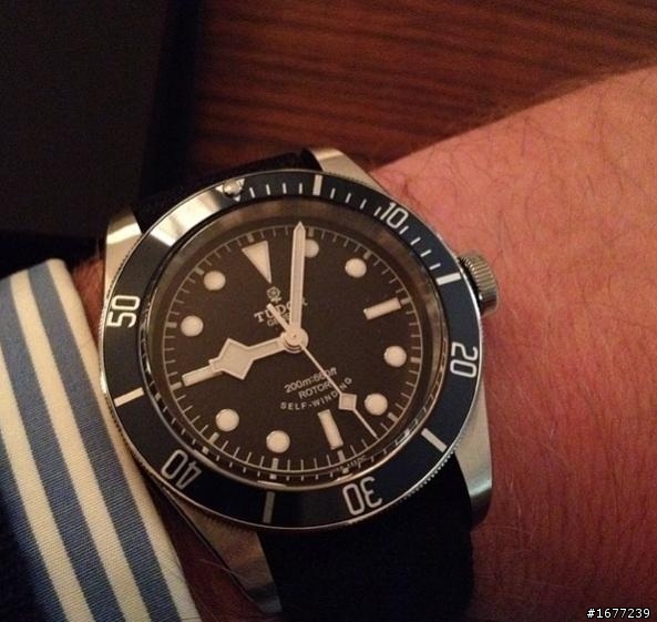New tudor blue black bay 2014