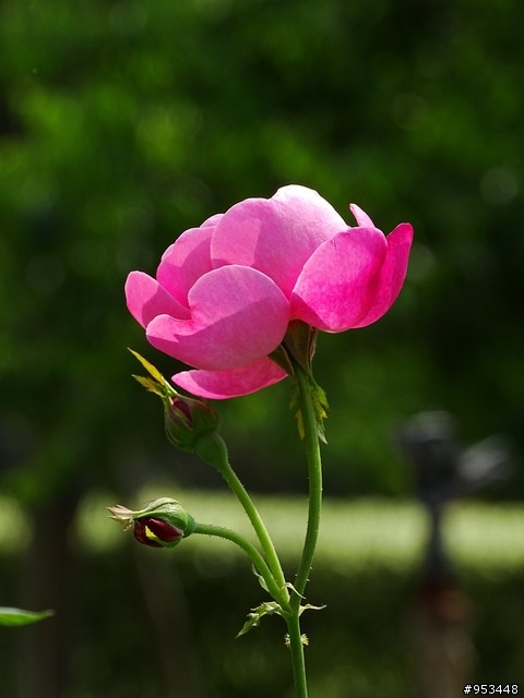 Cyber-shot DSC-HX400V