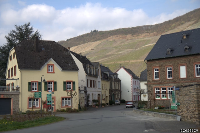 德國 MOSEL 沒緣的酒博物館