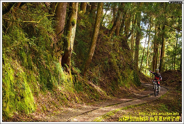 [Eric的單車日記] 天神之路 特富野古道