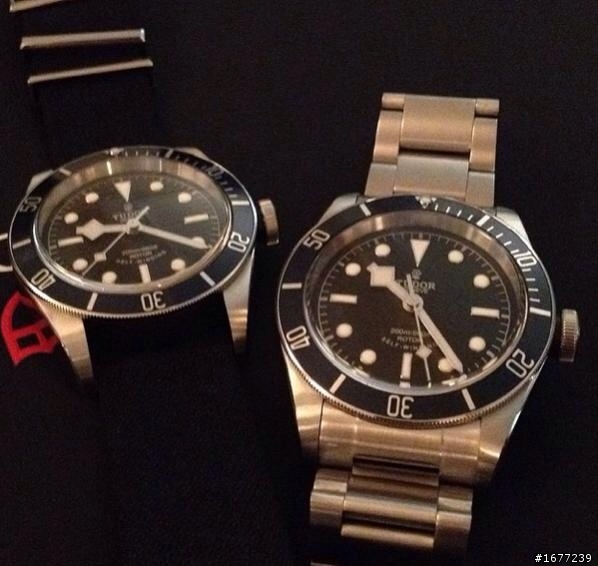 New tudor blue black bay 2014