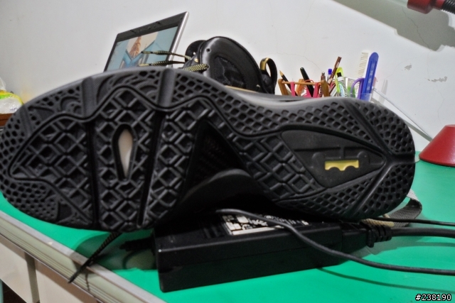 LEBRON 9 ELITE(詹姆士九代菁英版) 開箱文