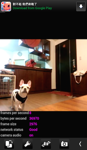 [分享] 可以用手機觀察+記錄寵物動態的app  –  Web of Cam（Android）