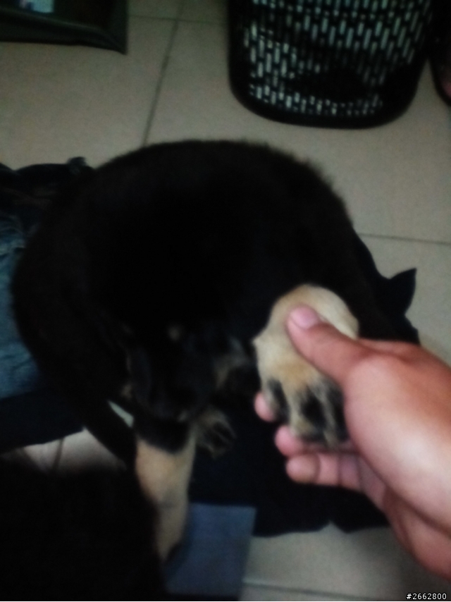 這問題考倒我了=.=