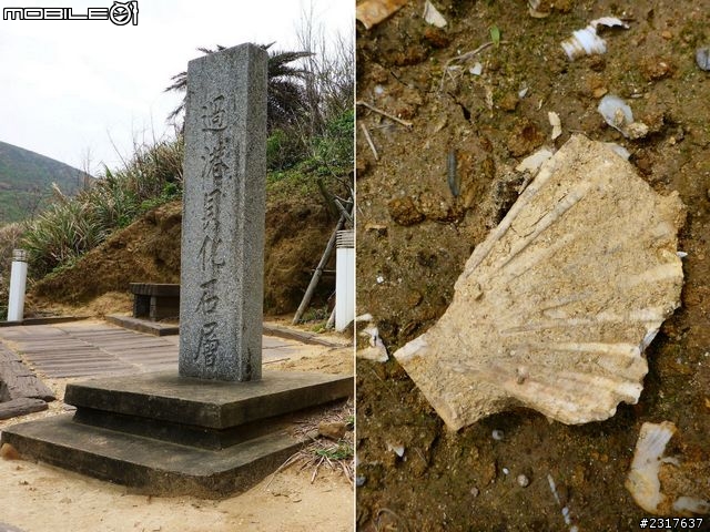 鐵道騎旅：新竹到追分