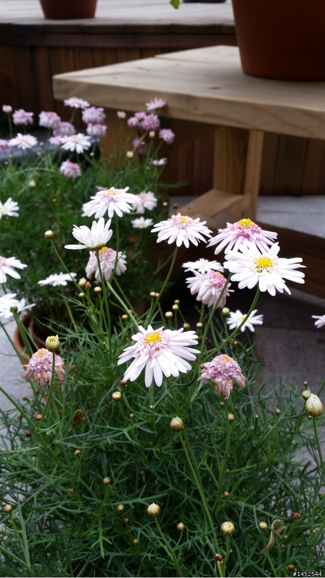 Samsung GALAXY S5 台北體驗會之Victor 體驗文