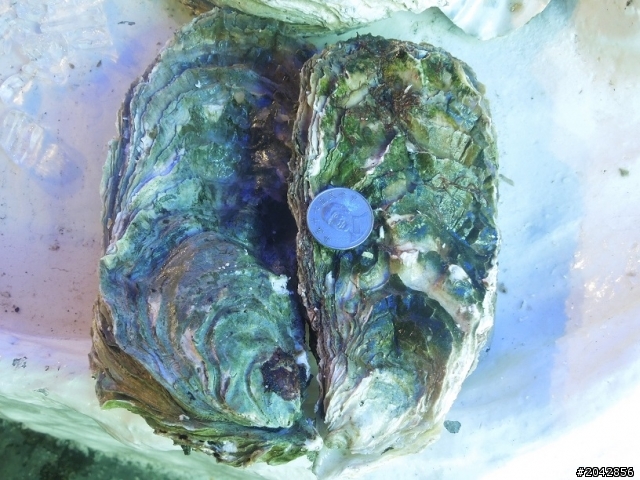 很沒梗的標題:有些事情如果現在不做 以後也許永遠都不會做了(三)