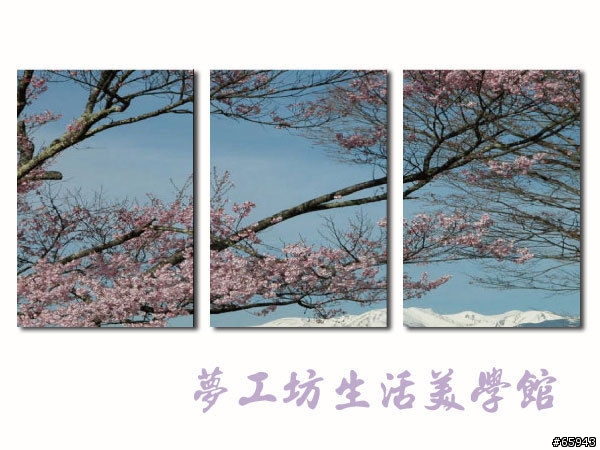 煩推薦投票電視牆的無框畫