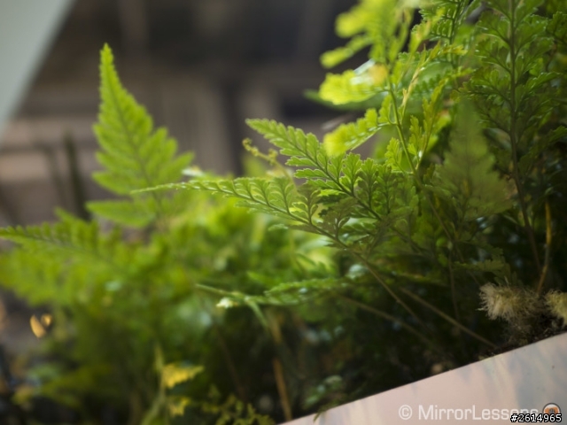 關注DG15的請進，上手及第一張樣片流出