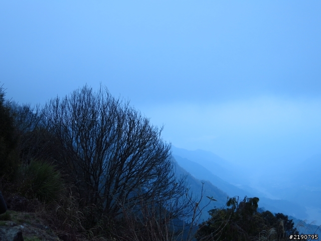 3/1、3/2 沒日出的阿里山國家森林遊樂區